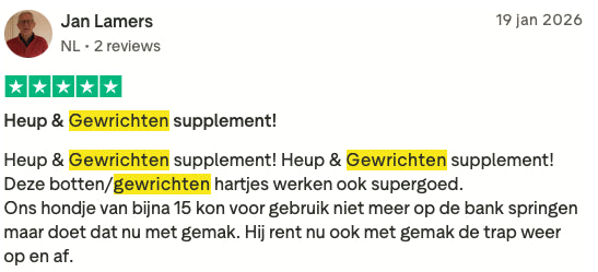 Review 15 H&G