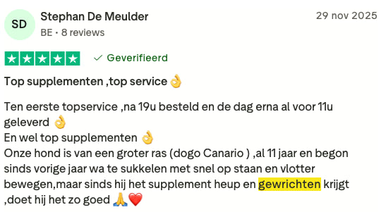 Review 14 H&G