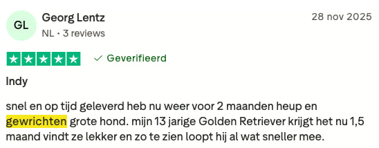 Review 11 H&G