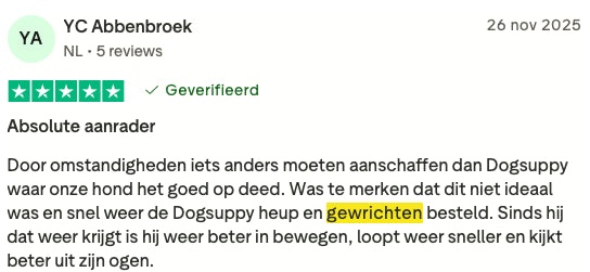 Review 10 H&G