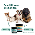 Dental Bright 🌿 60 schepjes