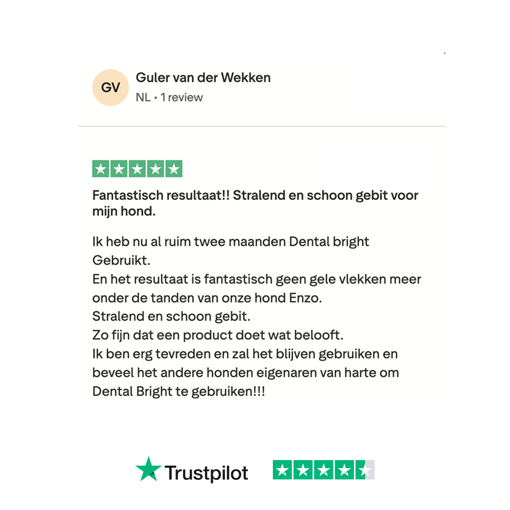 Dental Bright 🌿 60 schepjes