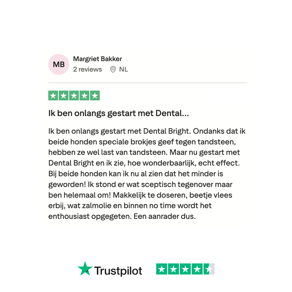 Dental Bright 🌿 60 schepjes