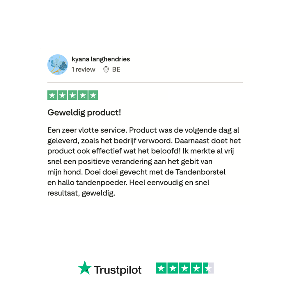 Dental Bright 🌿 60 schepjes
