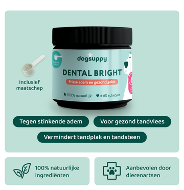 Dental Bright 🌿 60 schepjes