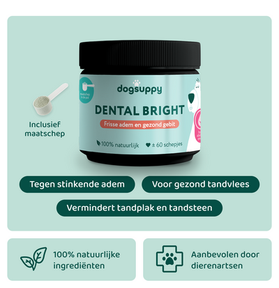 Nieuwjaarsactie 33% korting | Dental Bright | o1