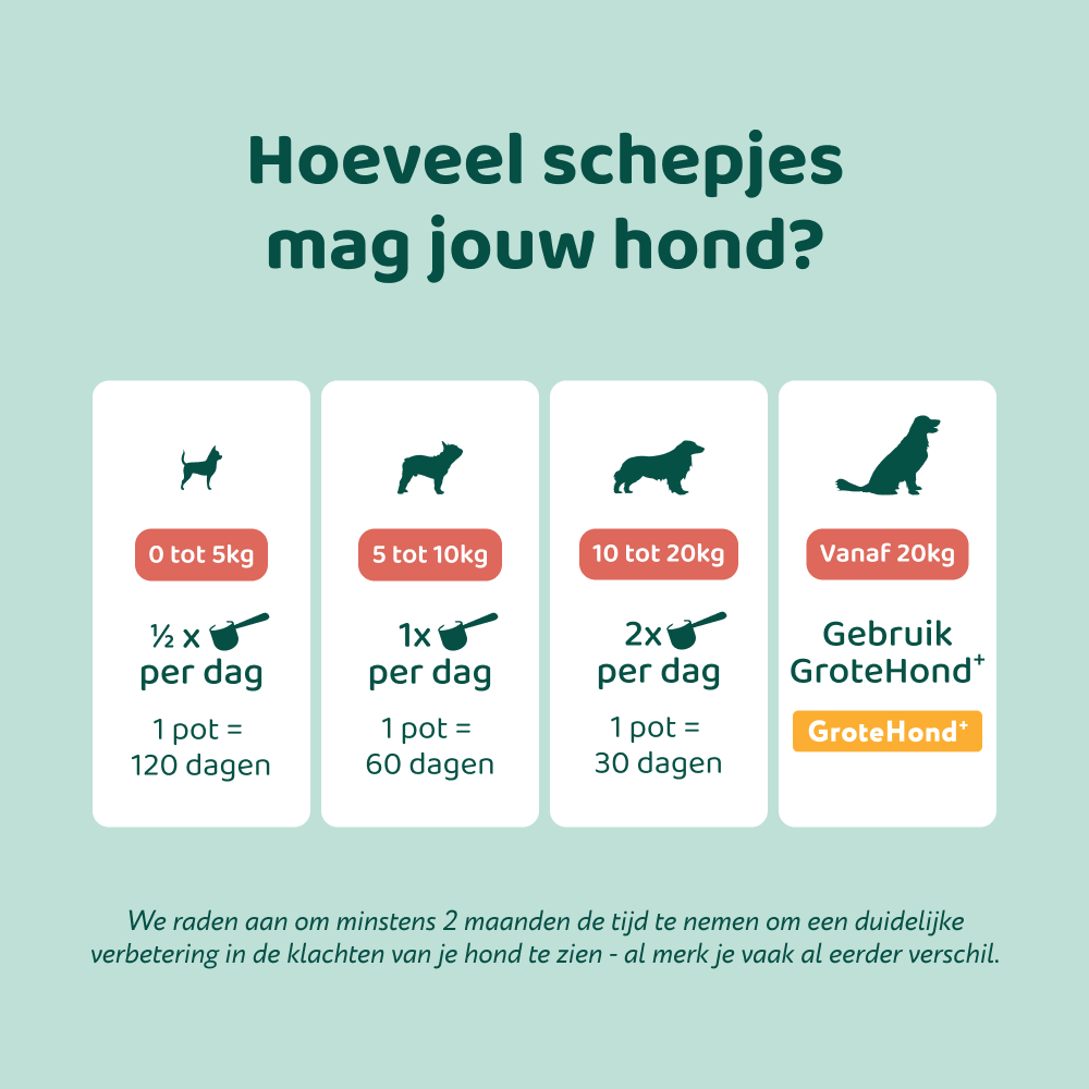 Dental Bright 🌿 60 schepjes