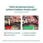 Dental Bright 🌿 60 schepjes