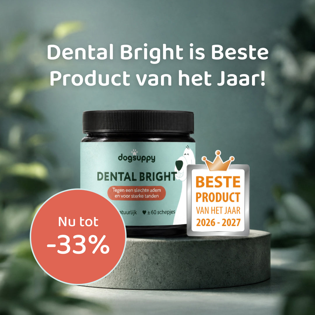 Dental Bright | 100% natuurlijk | 60 schepjes