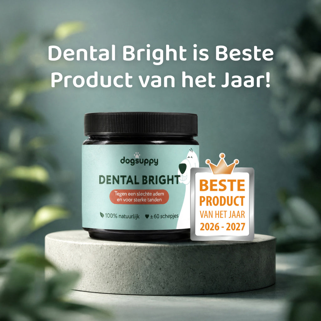 Dental Bright GroteHond⁺ 🌿 60 schepjes