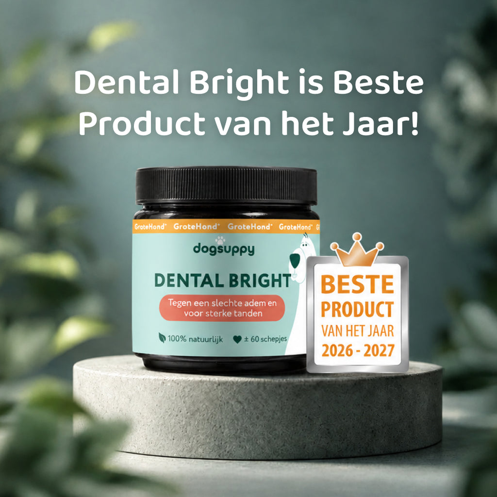 Dental Bright GroteHond⁺ 🌿 60 schepjes