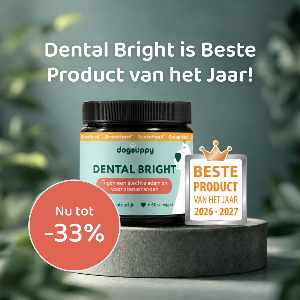 Dental Bright GroteHond⁺ | 60 schepjes