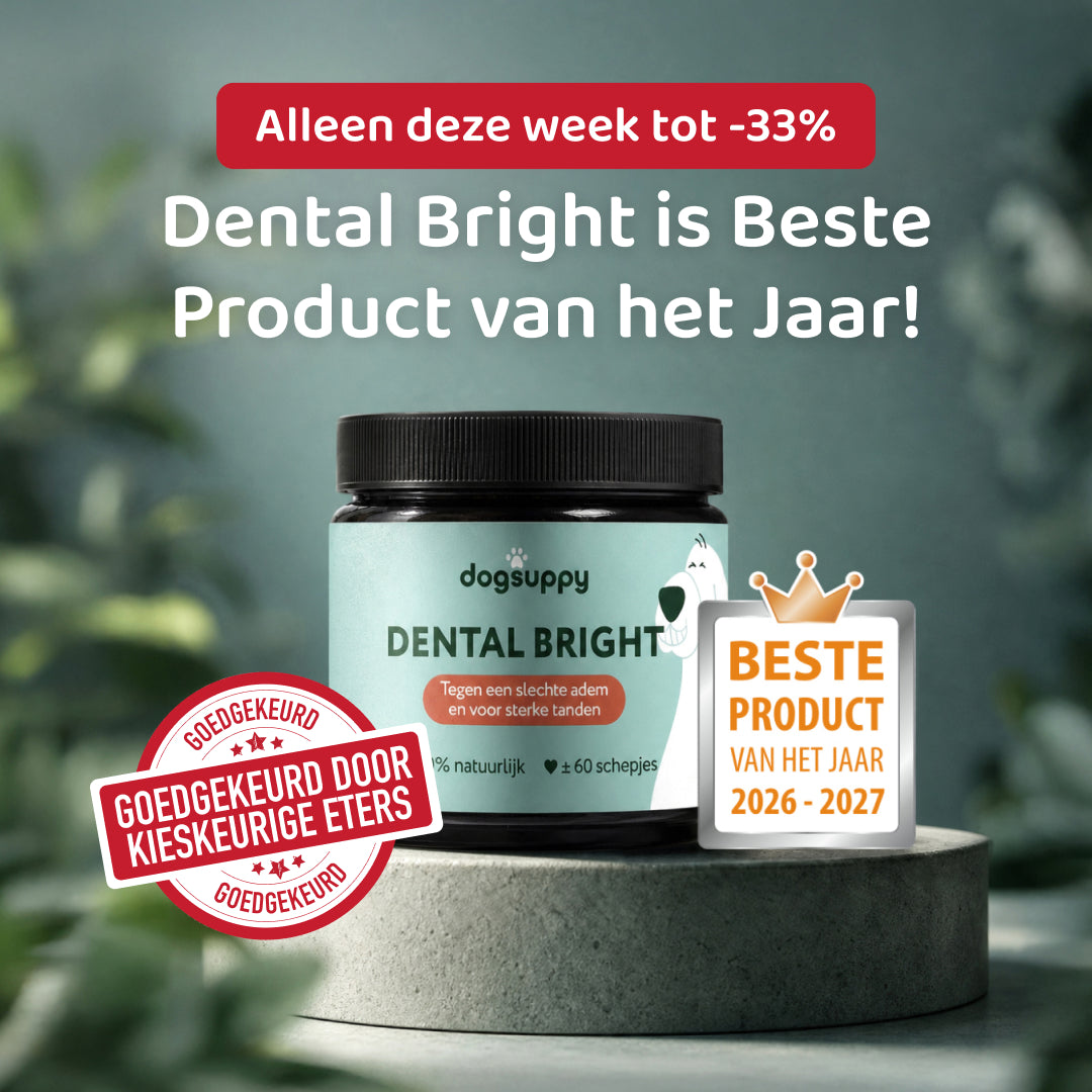 Dental Bright 🌿 60 schepjes