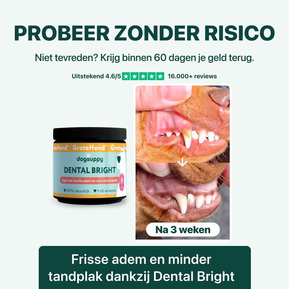Dental Bright GroteHond⁺ | 60 schepjes