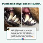 Dental Bright GroteHond⁺ | 60 schepjes