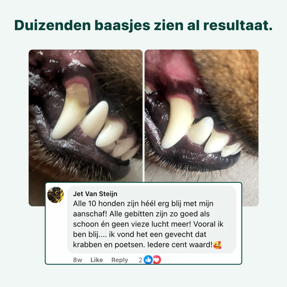 Dental Bright GroteHond⁺ | 60 schepjes
