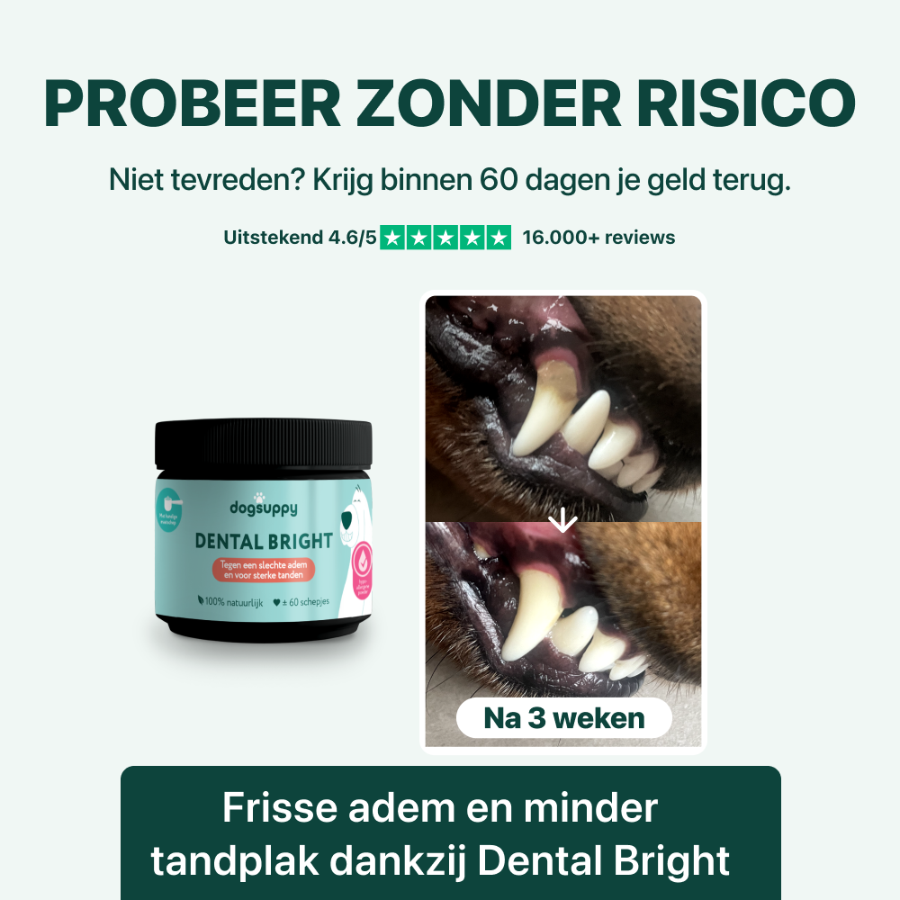 Dental Bright | 100% natuurlijk | 60 schepjes
