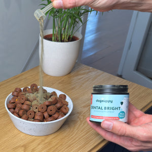 Dental Bright | Frisse adem & gezond gebit | 100% natuurlijk | 60 schepjes