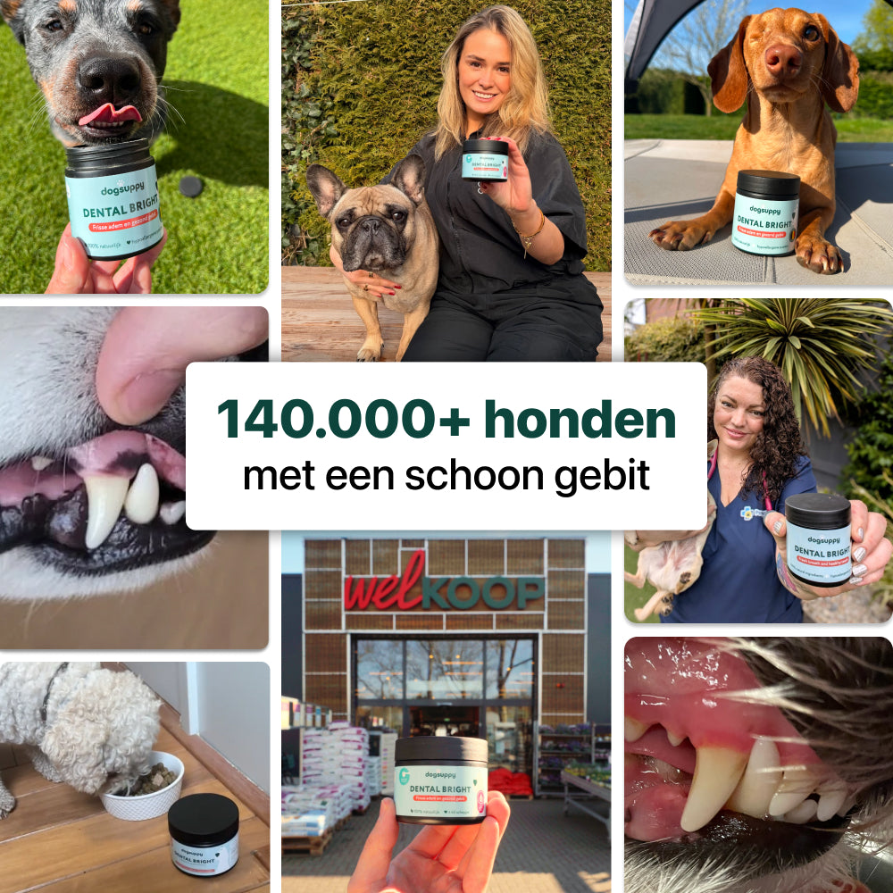 Dental Bright | 100% natuurlijk | 60 schepjes