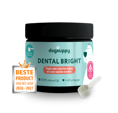 Dental Bright 🌿 60 schepjes