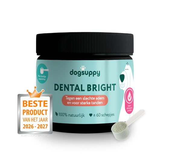 Dental Bright