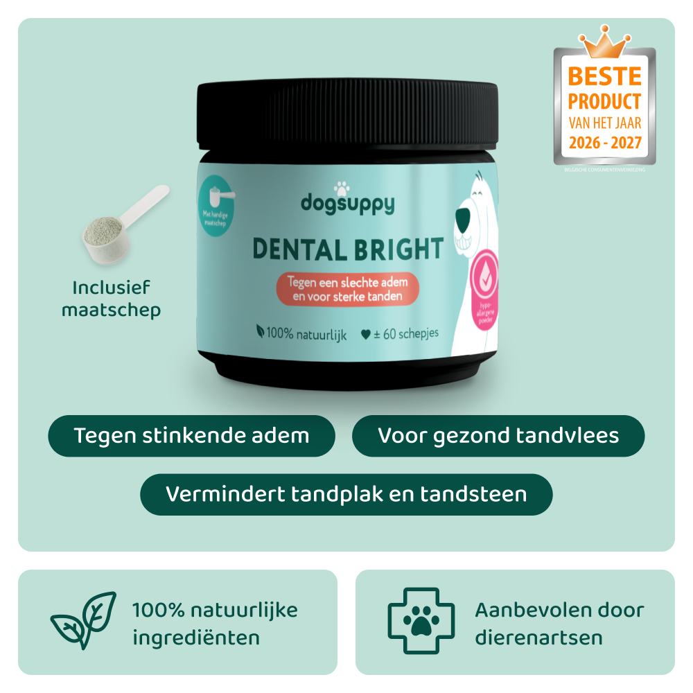 Dental Bright 🌿 60 schepjes
