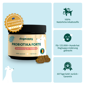 Probiotika Forte | Für eine optimale Gesundheit des Darms | 60 Stück