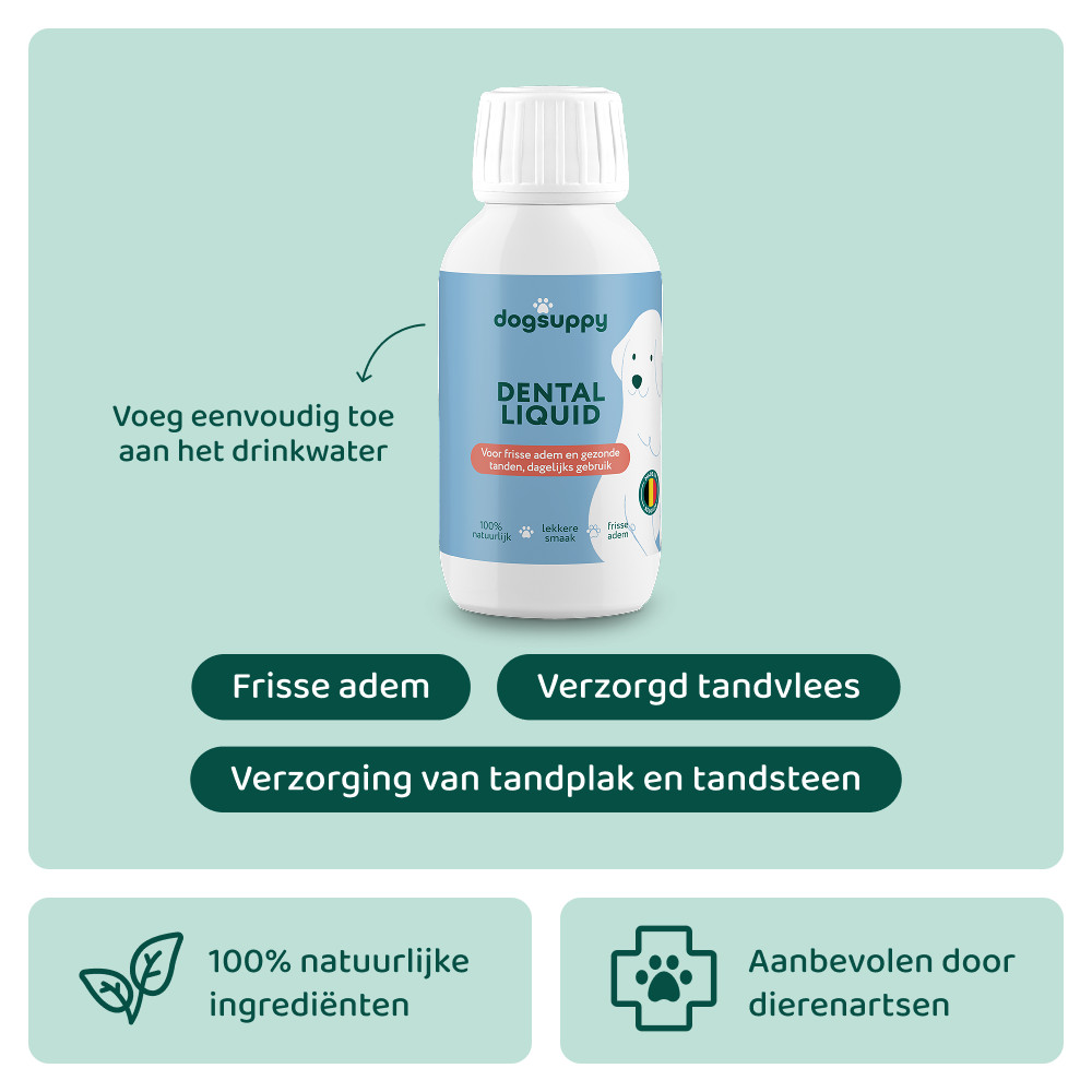 Dental Liquid 🌿 250 ml