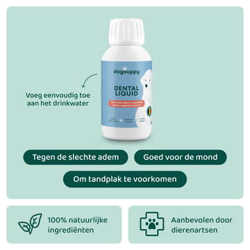 Dental Liquid 🌿 250 ml