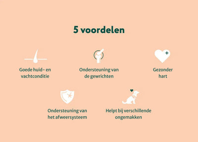 Zalmolie | Boost voor de gezondheid van je hond | 100 ml