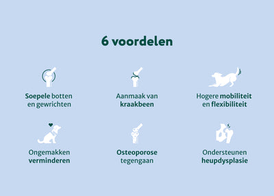 Verlicht Artrose en gewrichtsklachten bij honden | 100% Natuurlijk