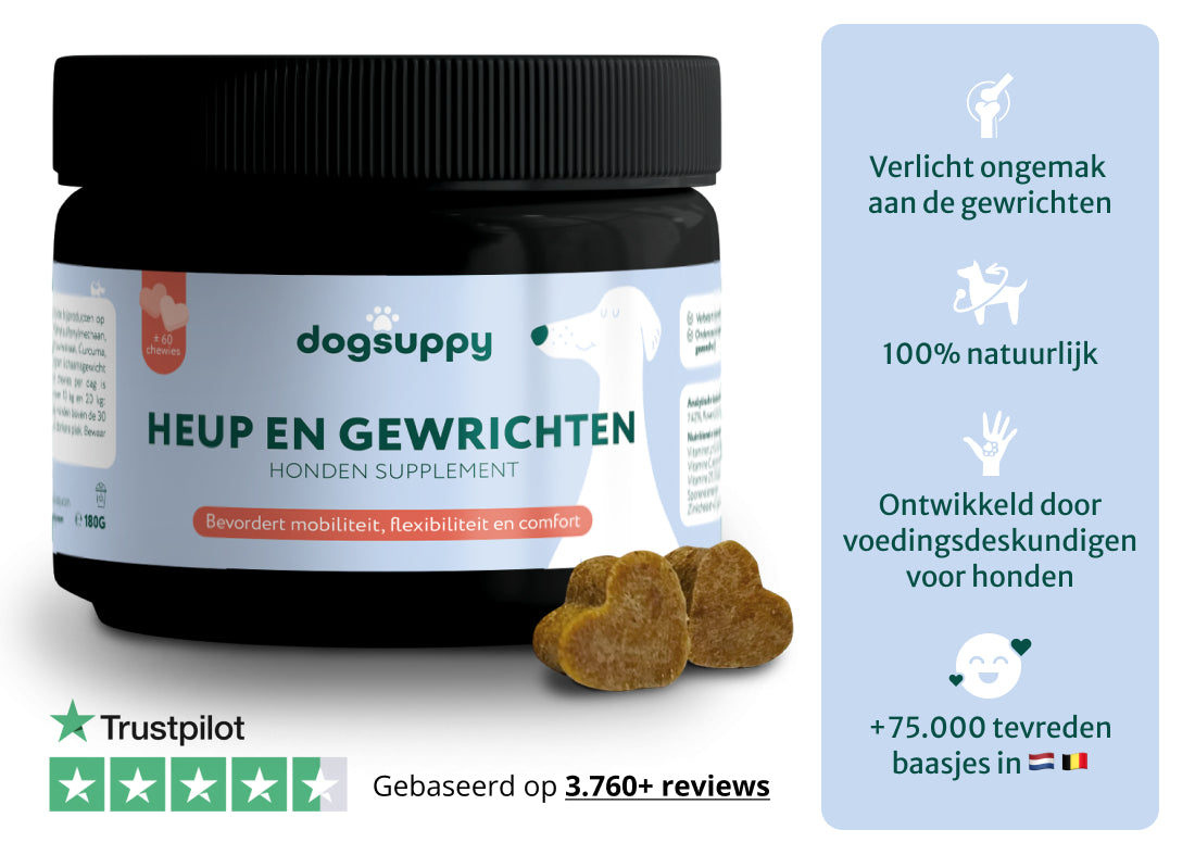 Verlicht Artrose en gewrichtsklachten bij honden | 100% Natuurlijk