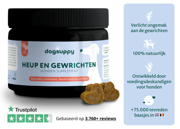 Verlicht Artrose en gewrichtsklachten bij honden | 100% Natuurlijk