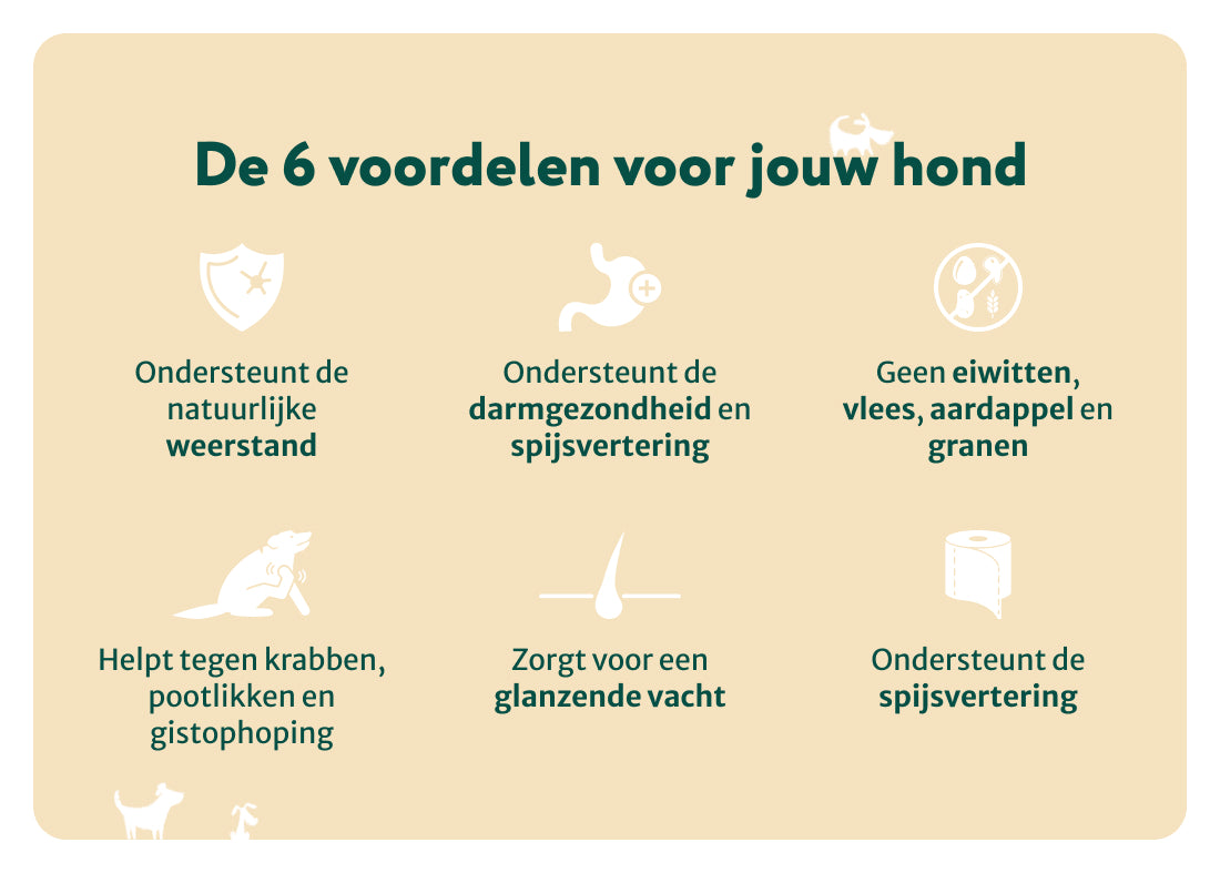 Probiotica Forte poeder | Bevat GEEN zetmeel en eiwitten | Hypoallergeen | 60 schepjes