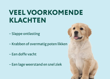 Puppy Probiotica | Ondersteun darmflora en spijsvertering | Zonder vlees | 90 snoepjes