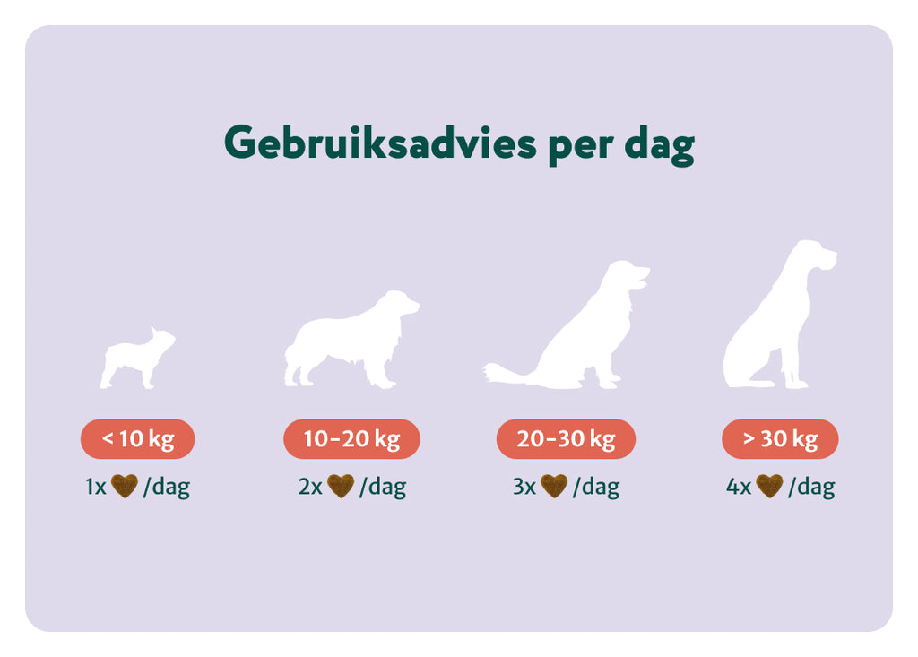 Anaalklieren Probiotica Forte | 100% natuurlijk