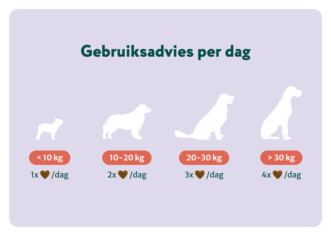 Anaalklieren Probiotica Forte | 100% natuurlijk