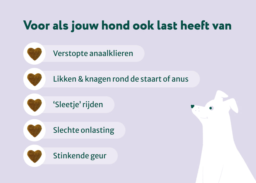 Anaalklieren Probiotica Forte | 100% natuurlijk
