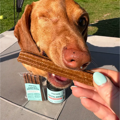 Schone tanden en verwijderen van tandplak | Dental Sticks | 5 Sticks per zakje