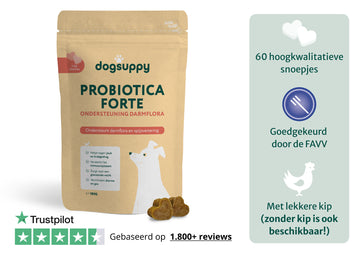 Eco-zak navulling: Probiotica Forte met kip | 60 snoepjes