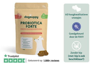 Eco-zak navulling: Probiotica Forte zonder kip/vlees | 60 snoepjes