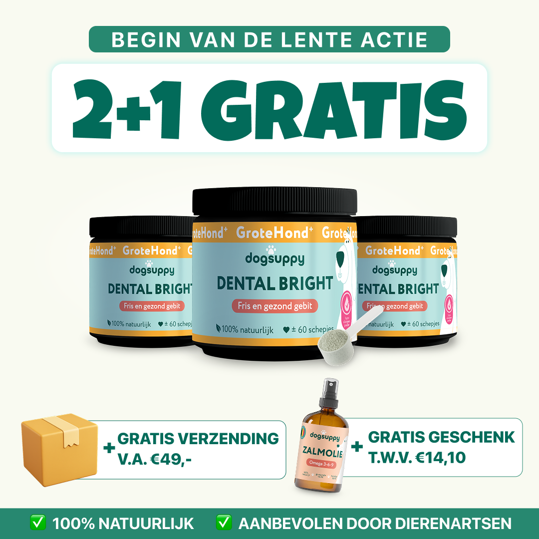Dental Bright GroteHond⁺ | 60 schepjes