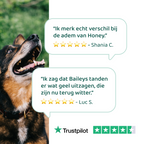 Dental Bright GroteHond⁺ 🌿 60 schepjes
