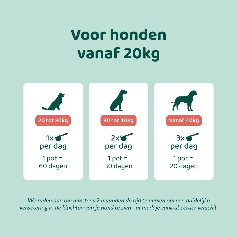 Dental Bright GroteHond⁺ 🌿 60 schepjes