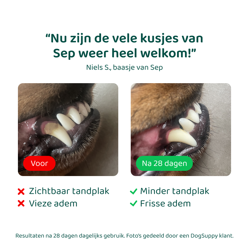 Dental Bright GroteHond⁺ 🌿 60 schepjes