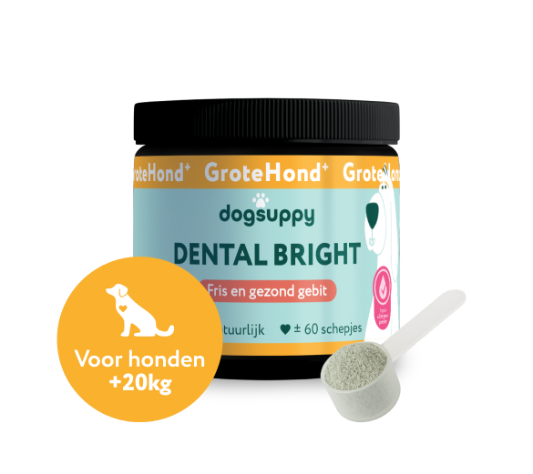 Dental Bright GroteHond⁺ 🌿 60 schepjes