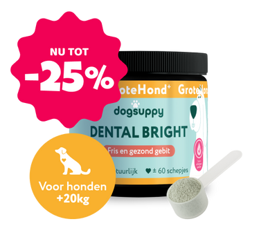 Dental Bright GroteHond⁺ 🌿 60 schepjes