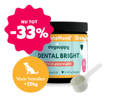 Dental Bright GroteHond⁺ 🌿 60 schepjes