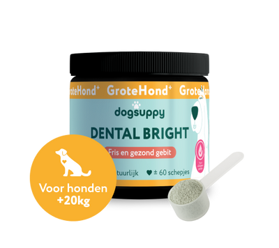 Dental Bright GroteHond⁺ | 100% natuurlijk | 60 schepjes