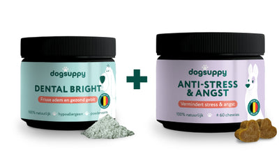 [BUN] Dental Bright + Anti-Stress